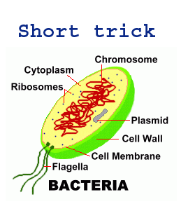 short-trick-diseases-caused