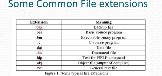 File Extension important Chapter in Computer