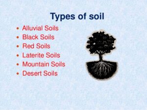 different-types-soil-in-rajasthan