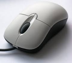  Mouse