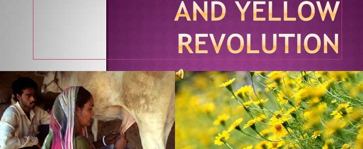 Major Revolution In Indian History And Their Related Field