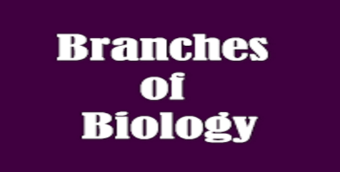 Branches of biology and MEANING OF BIOLOGY