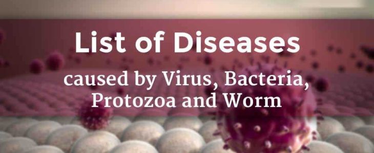 Protozoa In The Body of The Major Diseases And Questions In Science