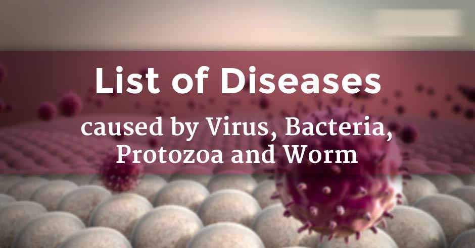 protozoa-in-the-body-of-the-major-diseases-