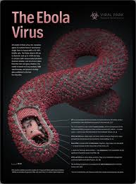 Short Trick for Vishaanu  (Virus) Occurring Diseases In Science