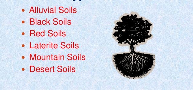 Short Tricks for Red soil region and Soil Resource and Vegetation of Rajasthan