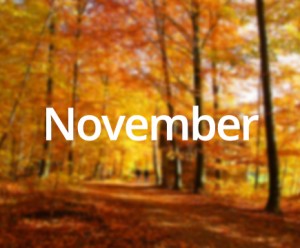 November Month Related important And famous Day and Date
